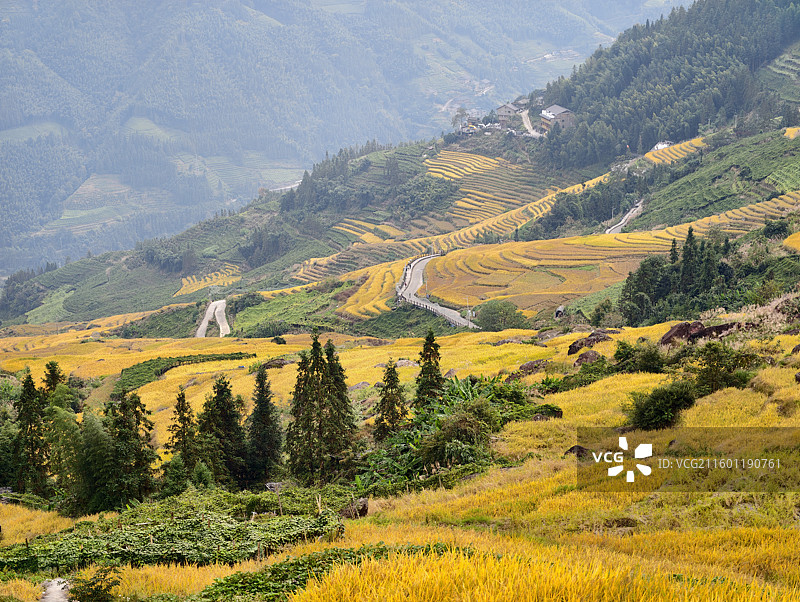 桂林龙胜龙脊梯田图片素材