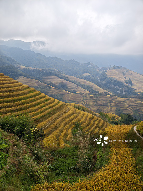 桂林龙胜龙脊梯田图片素材