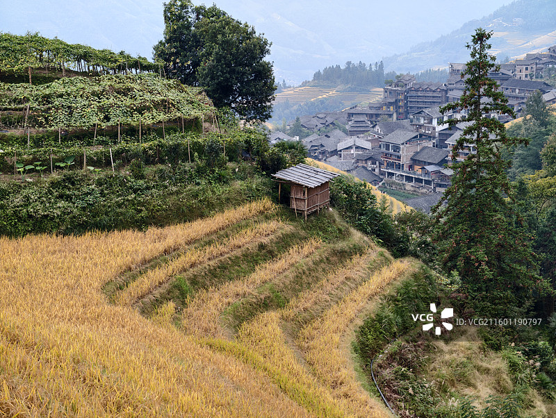 桂林龙胜龙脊梯田图片素材
