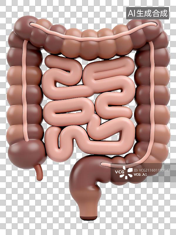 【AI数字艺术】人体器官肠道系统图片素材