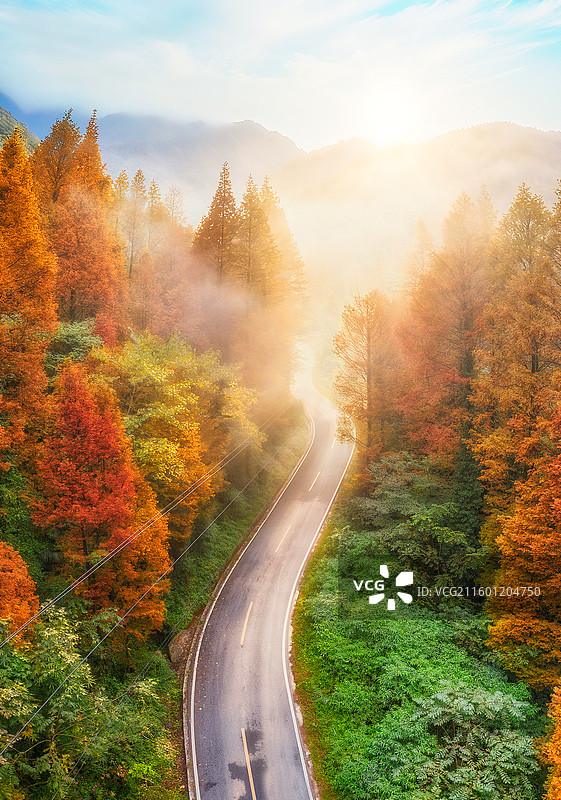 中国四川成都赵公山秋季彩林日出晨雾航拍图图片素材