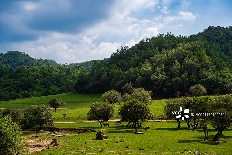 位于宝鸡陇县，关山牧场的绿色与广阔美景图片素材