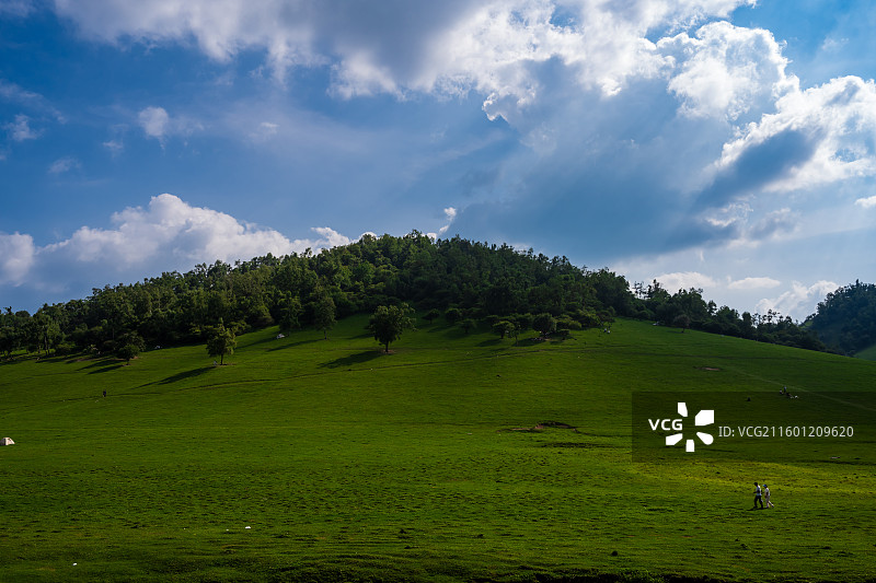 位于宝鸡陇县，关山牧场的绿色与广阔美景图片素材