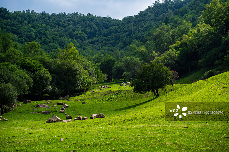 位于宝鸡陇县，关山牧场的绿色与广阔美景图片素材