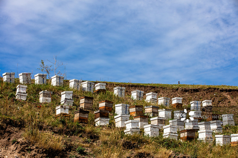 伊犁那拉提空中草原上的蜂箱图片素材