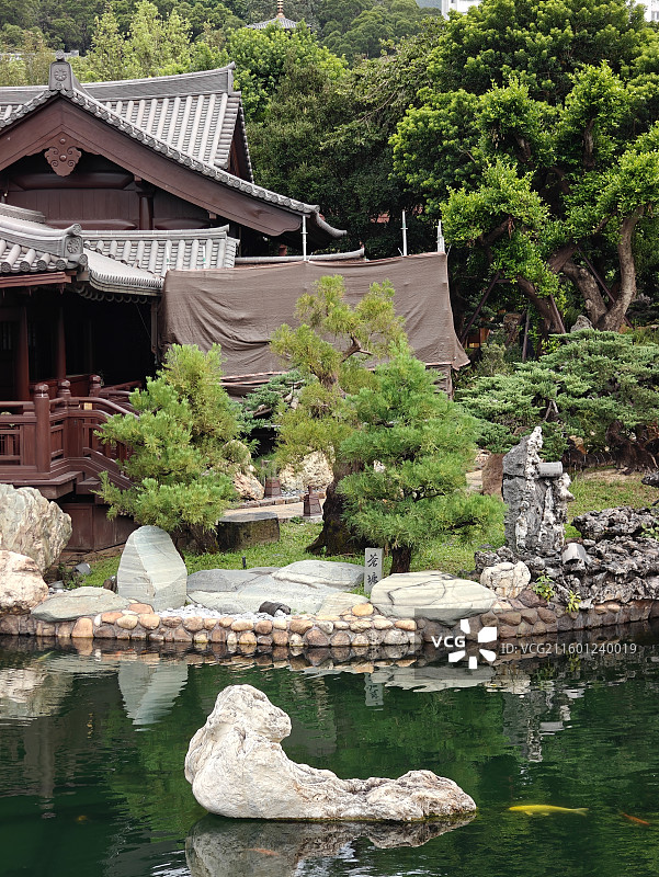 志莲净苑-深藏在香港黄大仙区闹市中的唐风秘境图片素材