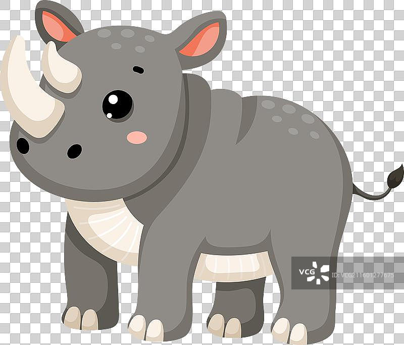 非洲野生犀牛图片素材