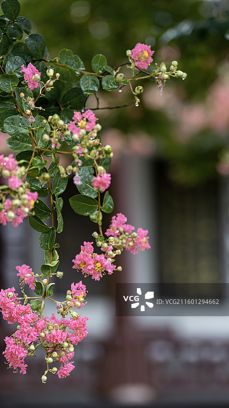 南京郑和宝船公园中雨壁纸图片素材