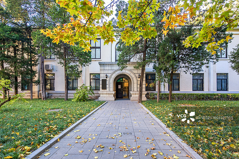 秋天北京校园里的秋天风景，秋天，落叶，枫叶，校园图片素材