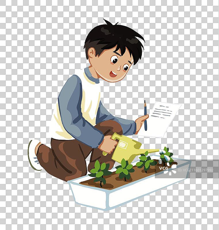 彩色卡通插画 男孩小孩 浇水种菜 养植物 记录生长 种子发芽 生物课 实验 知识  免扣元素图片素材