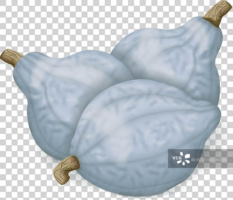 一群蓝色Hubbard南瓜图片素材