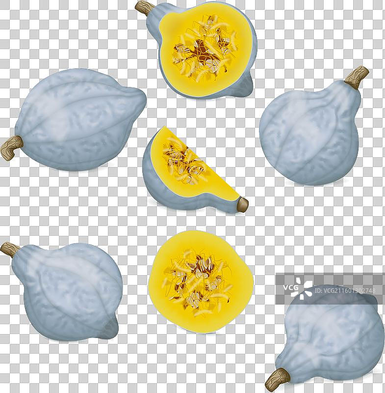 蓝色哈巴德南瓜剪贴画图片素材