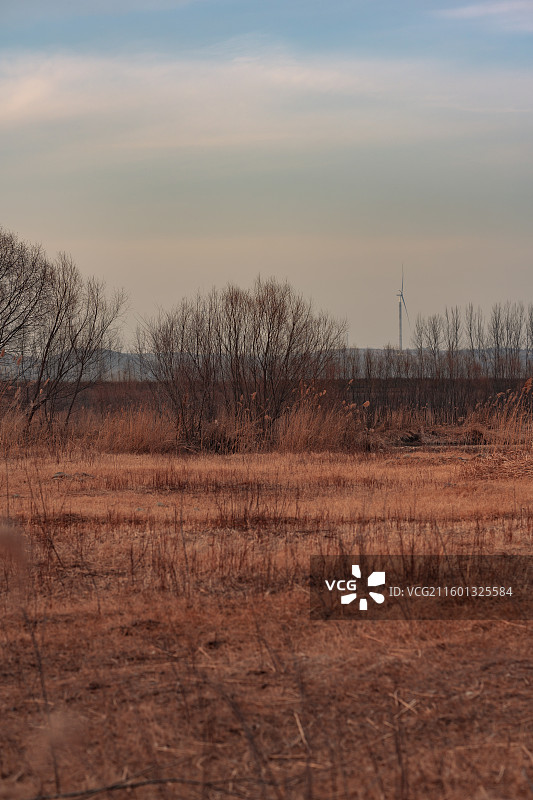 河南洛阳市宜阳县洛河边秋景图片素材