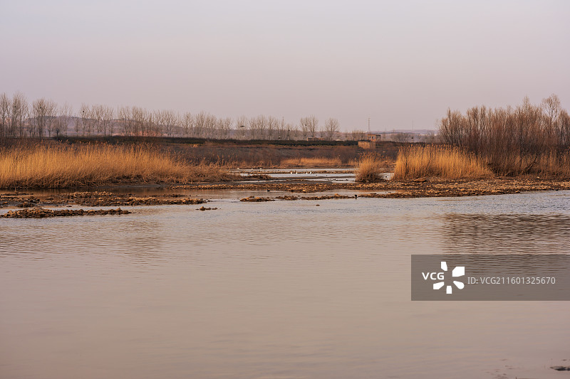 河南洛阳市宜阳县洛河边秋景图片素材
