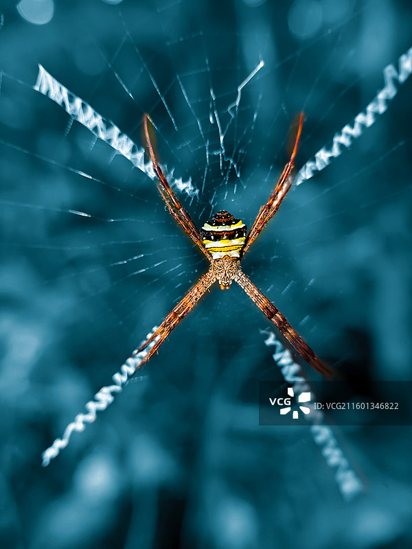 蜘蛛侠图片素材