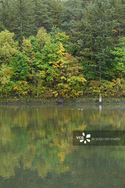 吉林延边安图县长白山二道白河镇秋季风光图片素材
