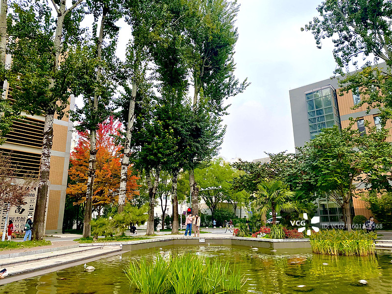2025年北京外国语大学校园秋天景观图片素材