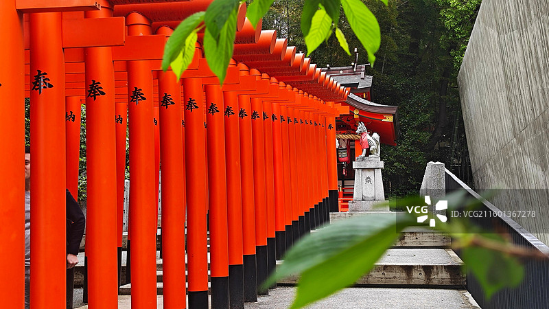 神户生田神社约建于 3 世纪，主祀稚日女尊，是恋爱与姻缘信仰中心，有金龙泉水占卜等特色。图片素材