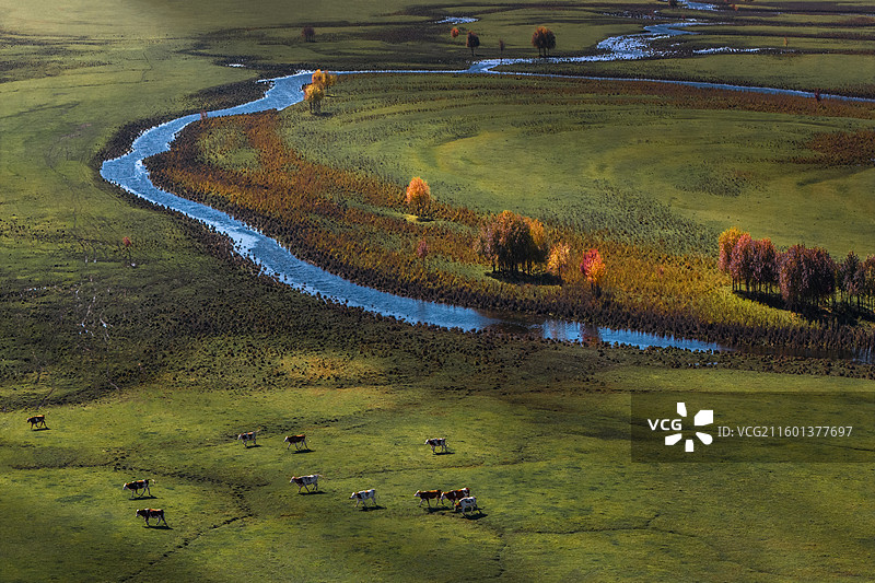 呼伦贝尔湿地图片素材