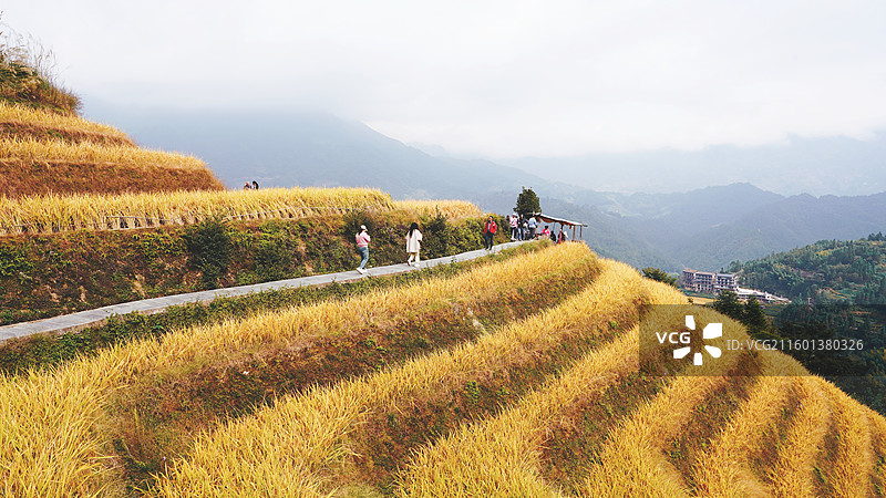 广西桂林龙胜龙脊梯田图片素材