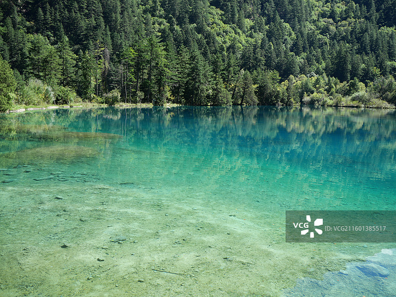 九寨沟卧龙海湖水图片素材