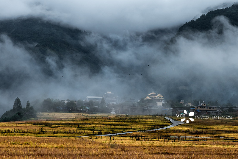 梯田上的普化寺图片素材