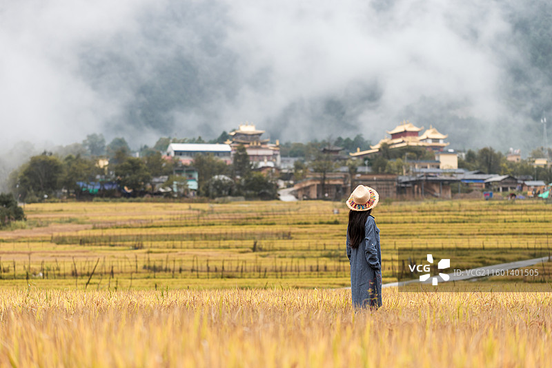 梯田上的普化寺图片素材