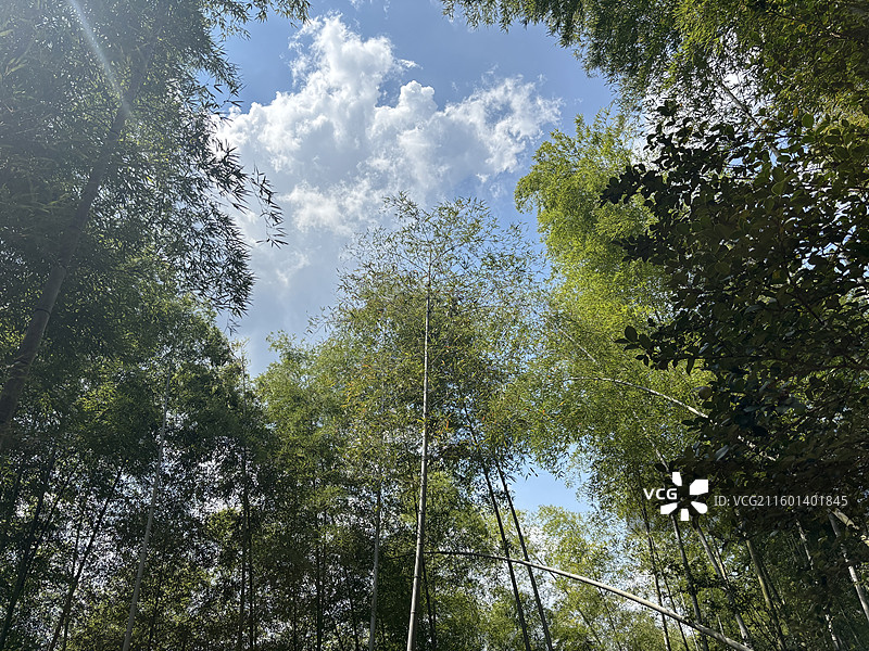 衢州市浮盖山风景区图片素材