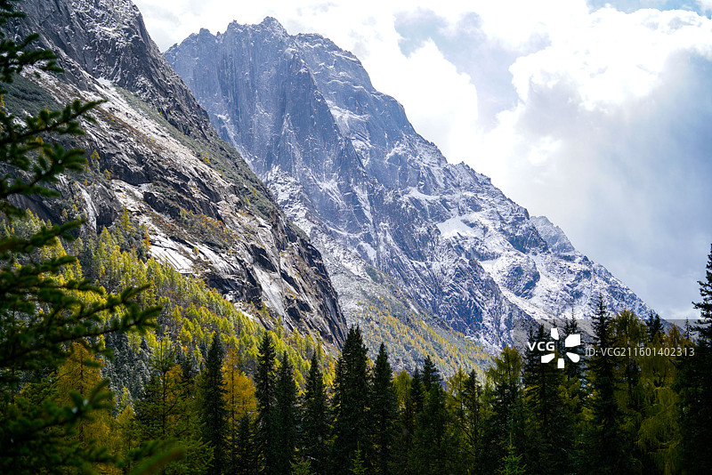 四姑娘山双桥沟的雪山彩林图片素材