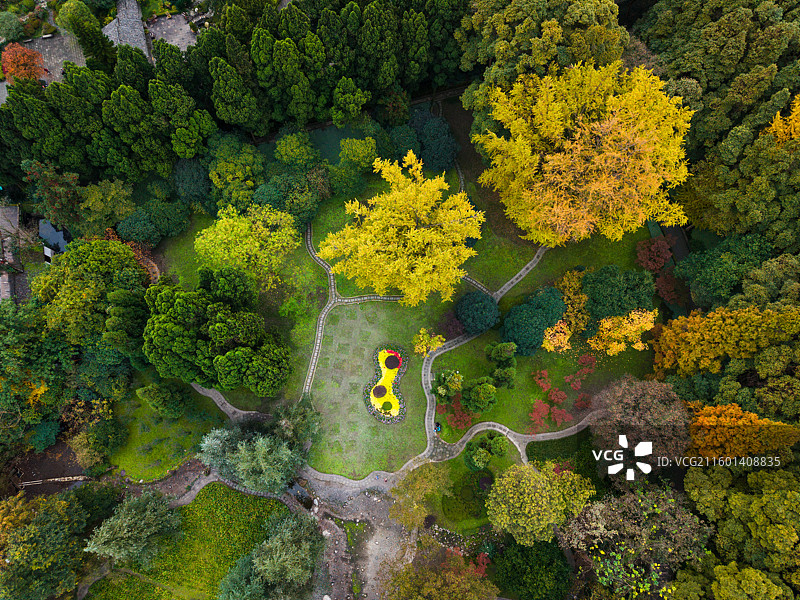 都江堰清溪园秋日彩林图片素材