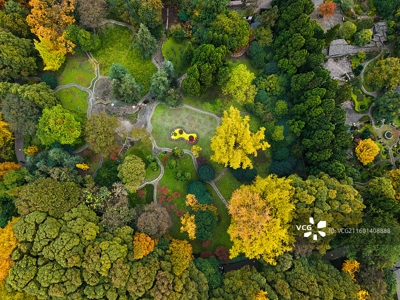 都江堰清溪园秋日彩林图片素材