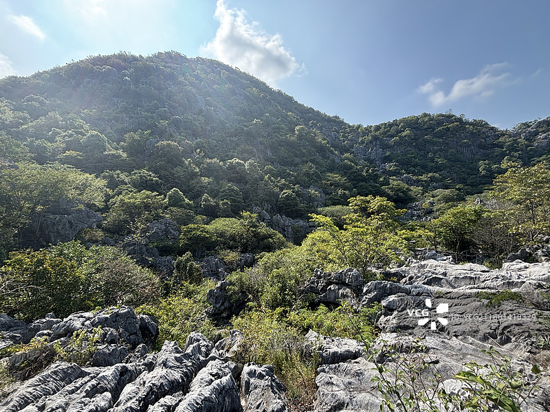 衢州三衢石林景区图片素材