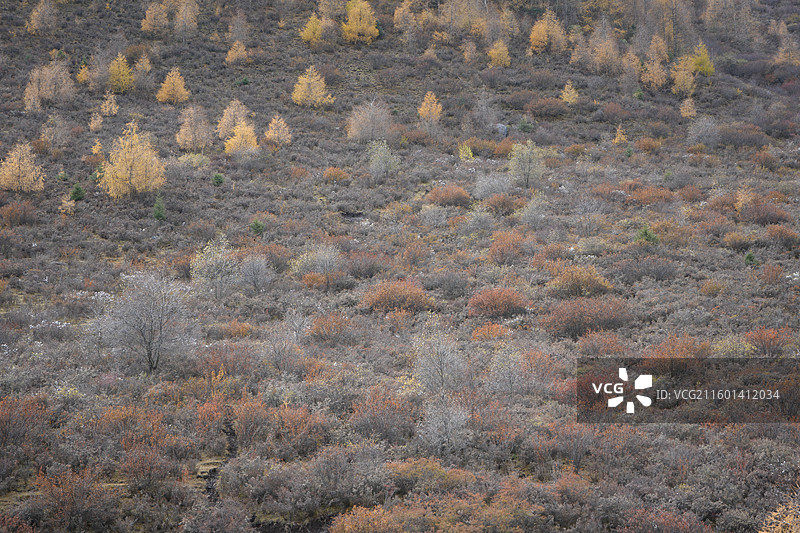 七藏沟图片素材