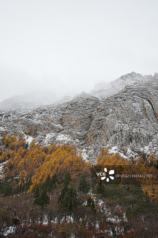 七藏沟图片素材