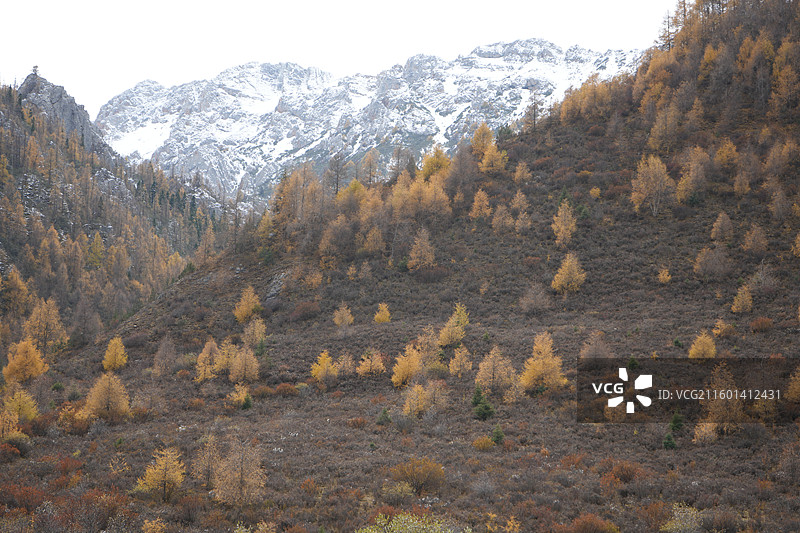 七藏沟图片素材