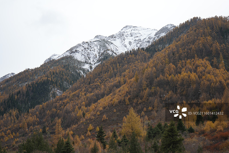 七藏沟图片素材