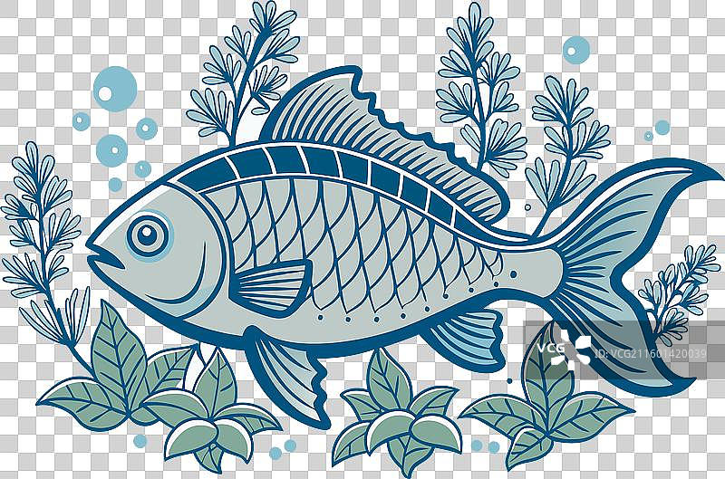 河中鲷鱼与植物剪影图片素材