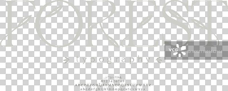 优雅的字母自然标志字体图片素材