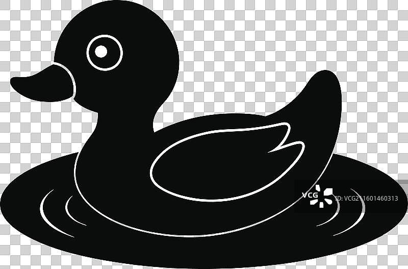 白背景下的水鸟图片素材