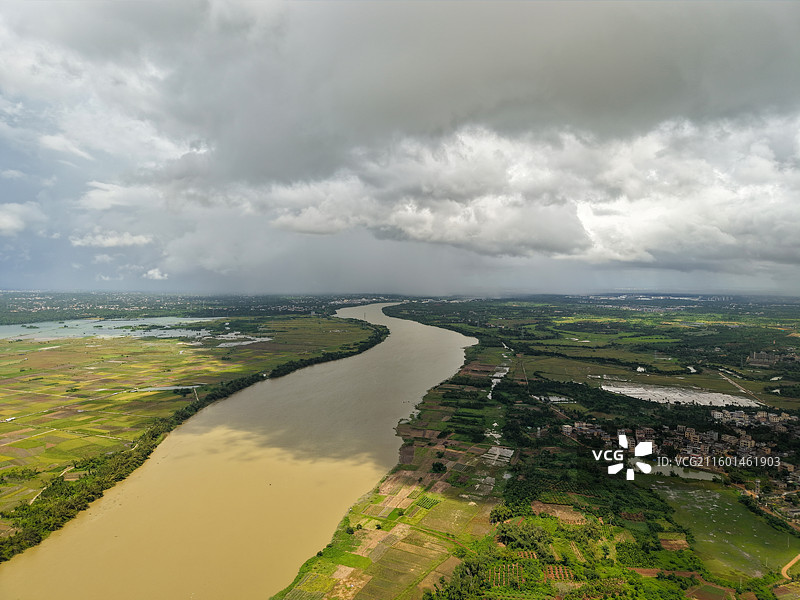 南南渡江：五一椰子头的稻田图片素材