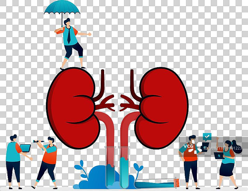 肾脏疾病与治疗保险设计图片素材