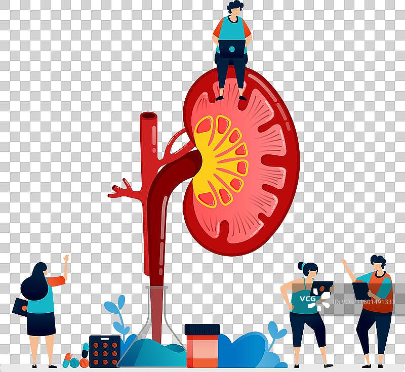 肾脏疾病和治疗细节设计图片素材