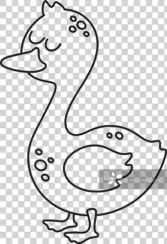 轮廓鸭子，孤立图片素材