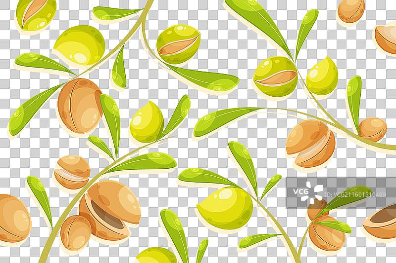 详细的摩洛哥坚果油背景图片素材