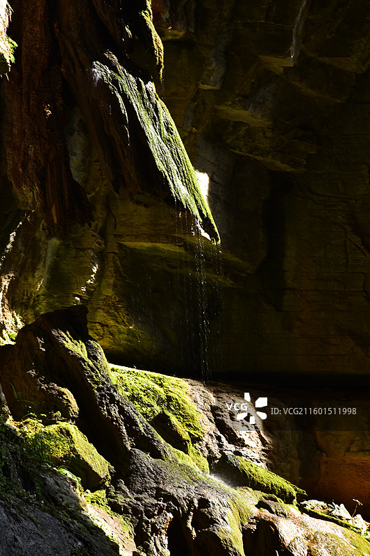 武陵山大裂谷 峡谷 天坑地缝 苔藓 自然景观图片素材