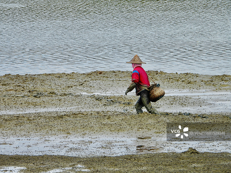 赶小海的渔民图片素材