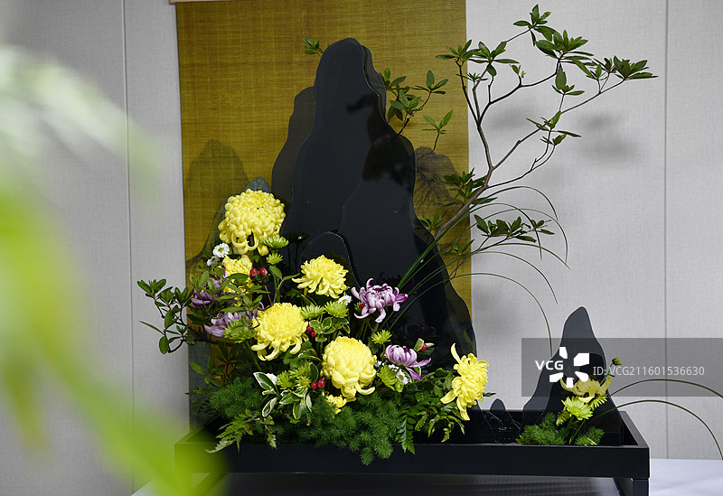 河南开封中国翰园菊花插花图片素材