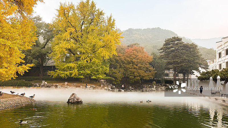 香山饭店后花园一角图片素材