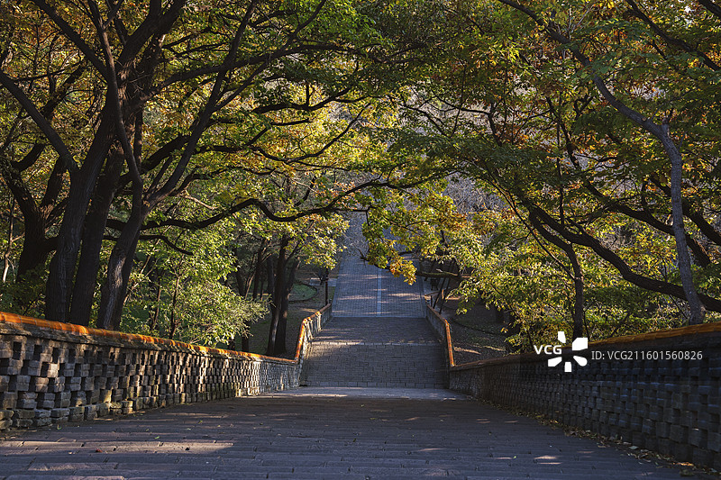 辽宁沈阳东陵公园清福陵一百零八蹬风景图片素材