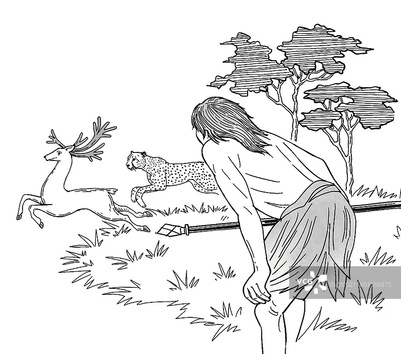 黑白插画线描素描人类起源发展狩猎打猎存活猿人远古时期历史草原野外鹿豹子动物图片素材